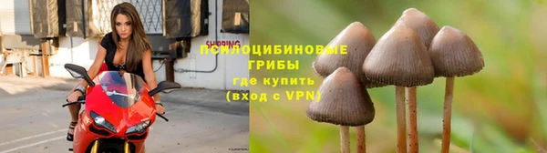 спайс Горняк