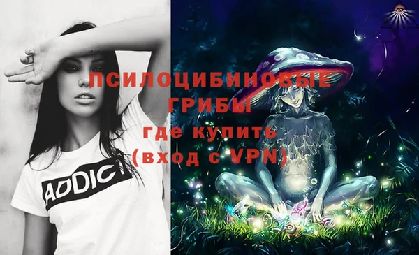 спайс Горняк