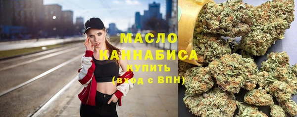 мдпв Вязьма