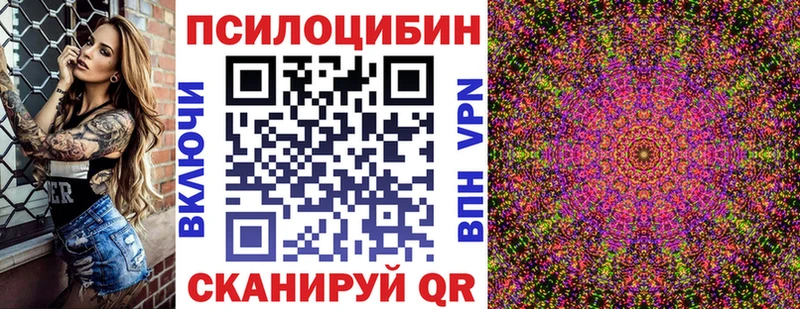 Галлюциногенные грибы Psilocybine cubensis  Купить закладки  Лабинск 